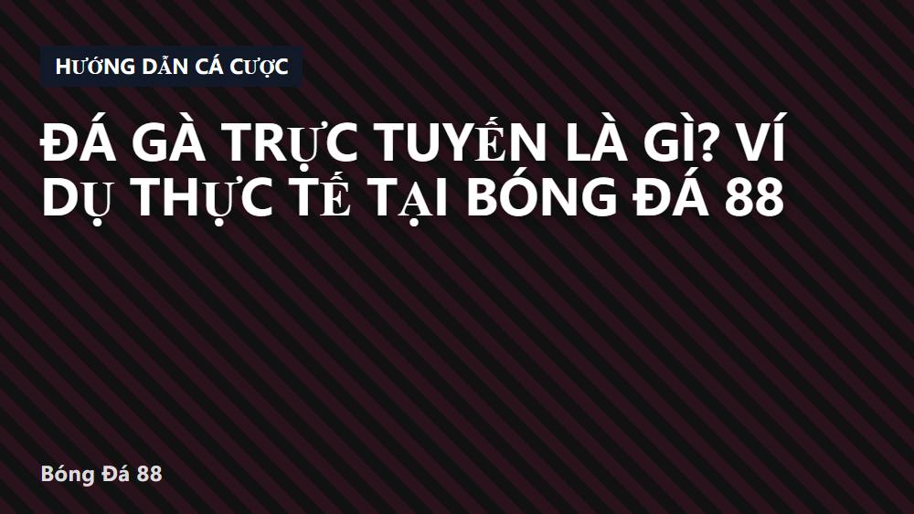 Đá gà trực tuyến là gì? Ví dụ thực tế tại Bóng Đá 88